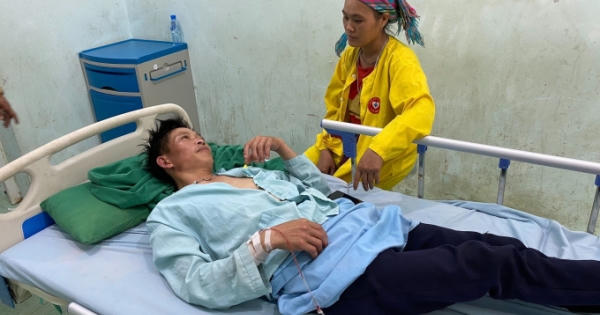 8 người ở Hà Giang nhập viện vì ăn hoa rừng xào trứng