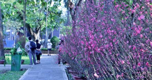 Trường hợp nào phải cách ly y tế khi về quê ăn tết?