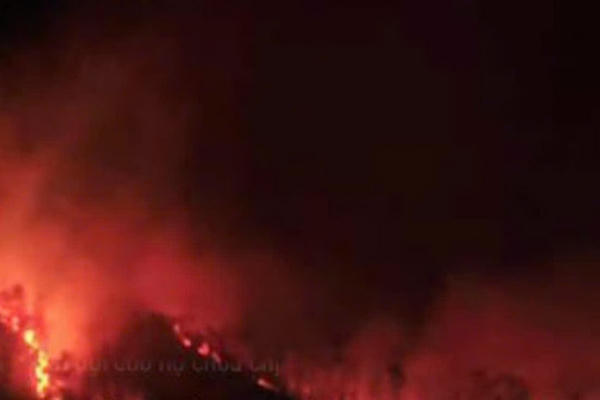 Quảng Ninh: Huy động hàng trăm người tham gia chữa cháy rừng trên xã đảo Minh Châu Quảng Ninh: Huy động hàng trăm người tham gia chữa cháy rừng trên xã đảo Minh Châu