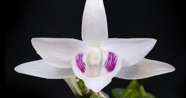 Tổng Cục thuế nói về đánh thuế giao dịch lan đột biến hàng trăm tỉ