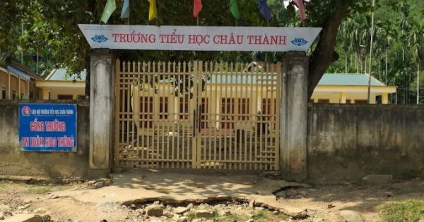 Hiệu trưởng bị giáng chức vì phát thiếu hàng ngàn hộp sữa học đường