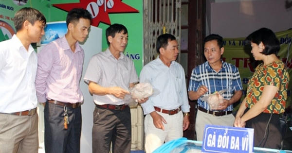 Tăng cường quản lý an toàn thực phẩm theo chuỗi Tăng cường quản lý an toàn thực phẩm theo chuỗi