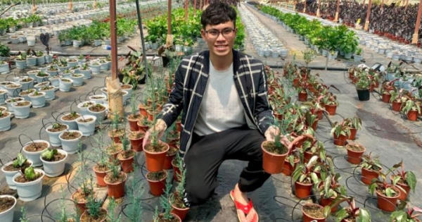 Khởi nghiệp với những giống cây trang trí làm đẹp