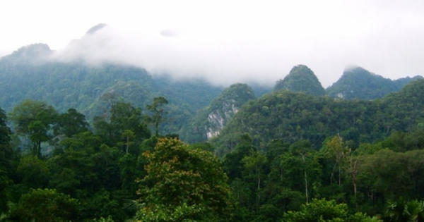 Xuân Sơn - Vườn thuốc nam khổng lồ cuối dãy Hoàng Liên Sơn