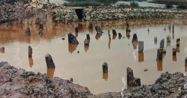 Bảo tồn Khu di tích lịch sử Chiến thắng Bạch Đằng, Quảng Ninh