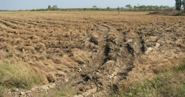 Bạc Liêu: Xử lý nghiêm cá nhân tổ chức vi phạm lạm thu tiền trợ cấp thiên tai