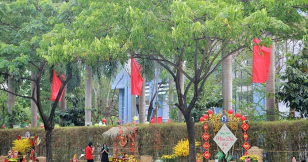 TP Hồ Chí Minh: Quận 12 khai mạc Hội xuân - Chợ hoa Tết Nhâm Dần năm 2022