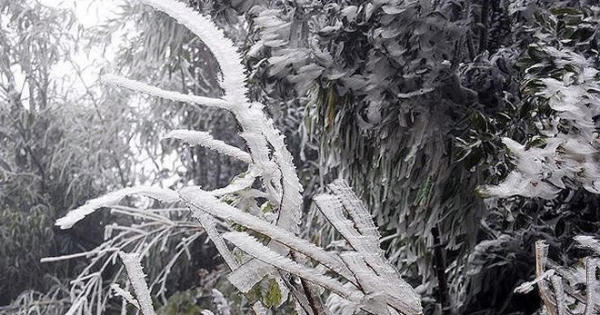Dự báo thời tiết ngày 30/1: Hà Nội rét đậm từ 9 – 12°C