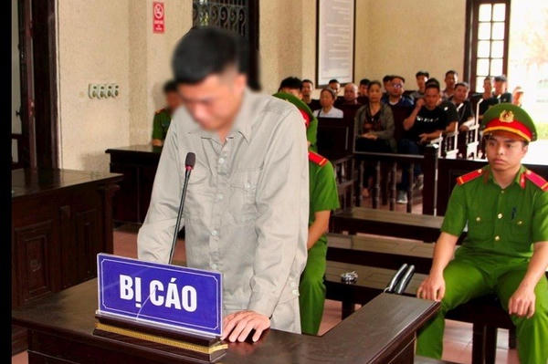 Bị phạt 12 năm tù vì lái ô tô đâm chết kẻ trộm mèo