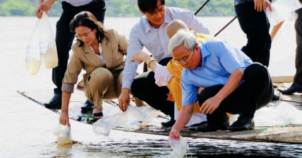 Đồng Nai: Thả cá để tái tạo nguồn thuỷ sản