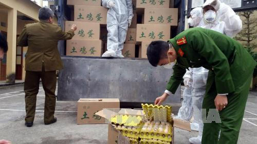 Trong 5 ngày, Quản lý thị trường xử lý hơn 1.300 vụ vi phạm Trong 5 ngày, Quản lý thị trường xử lý hơn 1.300 vụ vi phạm