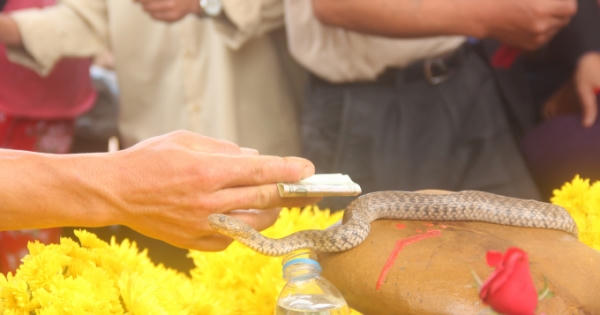 Quảng Bình: Dân đổ xô đi quỳ lạy, cúng tiền cho "rắn thần" ở mộ bà ăn mày