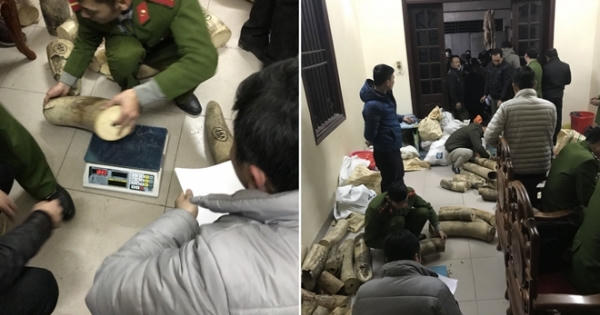 Hà Nội: Người phụ nữ cố thủ trong nhà cùng gần 1 tấn ngà voi