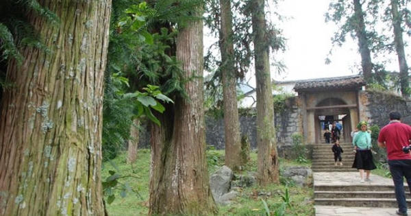 Chuyện quanh Dinh thự Vua Mèo: Tư duy nhiệm kỳ?