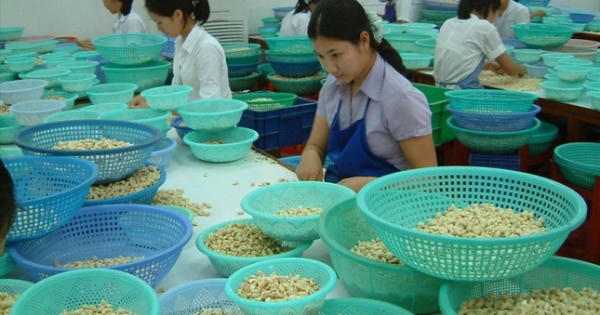 'Bẫy lừa' doanh nghiệp xuất khẩu