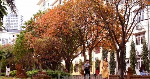 Phố phường Hà Nội đẹp như trời Âu