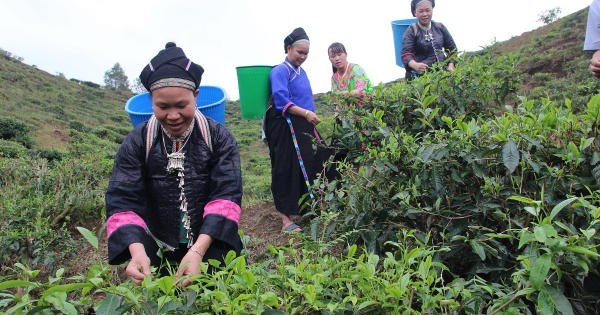 Hà Giang đầu tư hơn 100 tỷ đồng để ổn định dân cư vùng thiên tai Hà Giang đầu tư hơn 100 tỷ đồng để ổn định dân cư vùng thiên tai