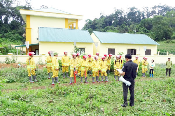 Tình trạng vi phạm luật Lâm nghiệp 6 tháng đầu năm tại Bắc Kạn
