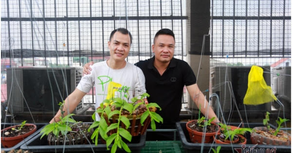 Liều bỏ 400 triệu chơi lan, đôi bạn thân Hà Nội có gia tài chục tỷ Liều bỏ 400 triệu chơi lan, đôi bạn thân Hà Nội có gia tài chục tỷ