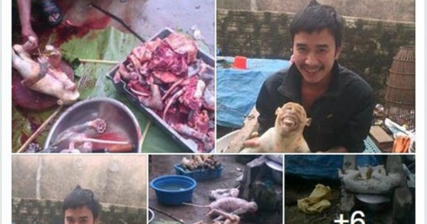 Khoe ảnh giết khỉ trên facebook, nam thanh niên không bị phạt