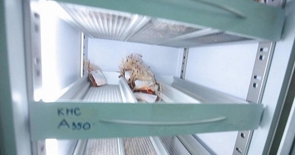 Cạn kiệt các nhóm máu dự trữ, bệnh viện khẩn thiết kêu gọi hiến máu