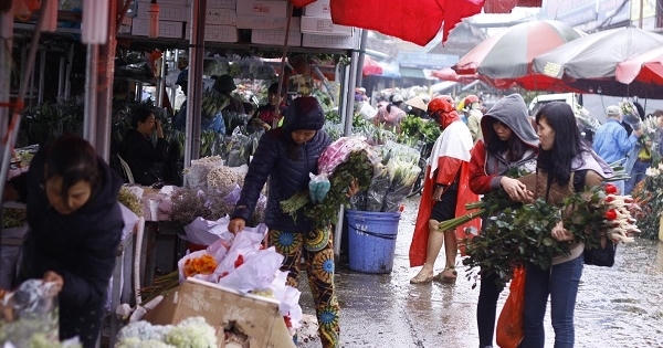 Hà Nội: Rực rỡ sắc hoa chào mừng ngày 8/3 Hà Nội: Rực rỡ sắc hoa chào mừng ngày 8/3