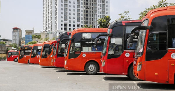 "Báo động" nhiều doanh nghiệp vận tải không thể trả nợ trước hạn