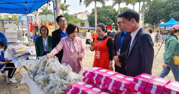 Quảng Ninh: Ấm áp phiên “Chợ Tết 0 đồng” cho bà con nghèo vùng mỏ