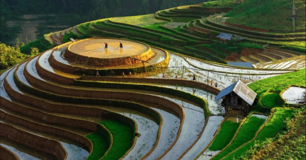 Người đàn ông Nhật "mắc nợ" cao nguyên Việt Nam