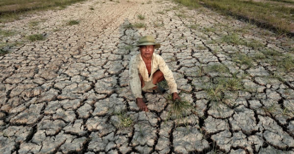 Cơ chế hỗ trợ phòng, chống khắc phục hậu quả hạn mặn