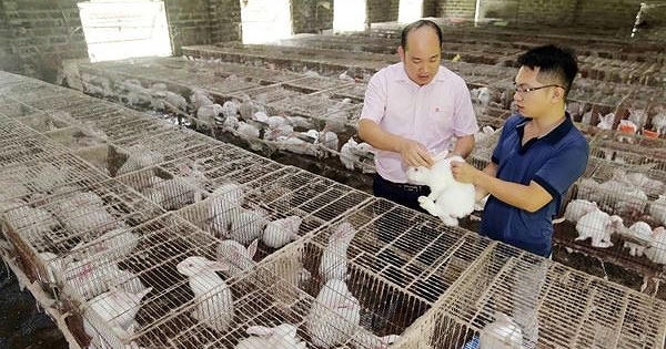 Quyết sách mang tính đột phá