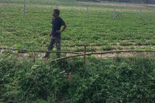 Quảng Bình: Nghi vấn Công ty Hùng Nam ký hợp đồng “giả trong thật” hơn 10 tỷ để “nâng khống” năng lực