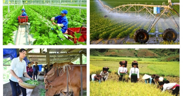 Chính sách mới hỗ trợ bảo hiểm nông nghiệp