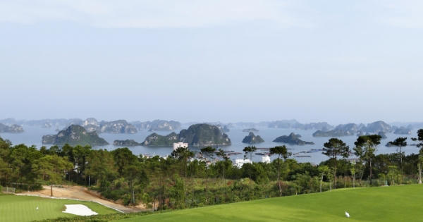 Quảng Ninh: Váng nước màu không gây bất kỳ sự cố môi trường nào với Hạ Long