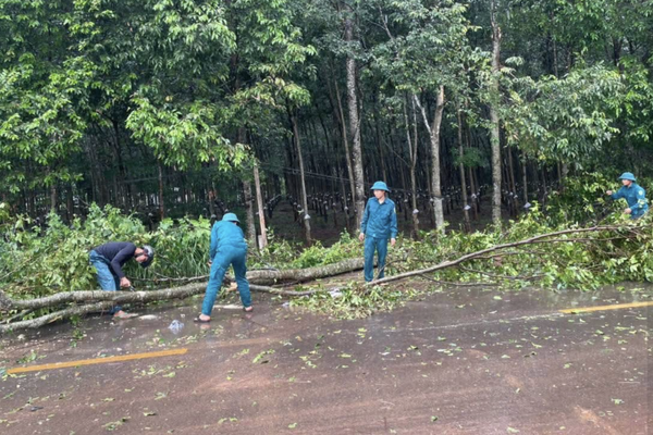 Khẩn trương khắc phục sự cố dông lốc làm gẫy cây, tốc mái nhà dân tại xã Tân Quan Khẩn trương khắc phục sự cố dông lốc làm gẫy cây, tốc mái nhà dân tại xã Tân Quan