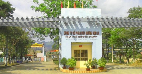 Công ty Mía đường Sơn La (SLS) bị Cục thuế Sơn La phạt và truy thu thuế