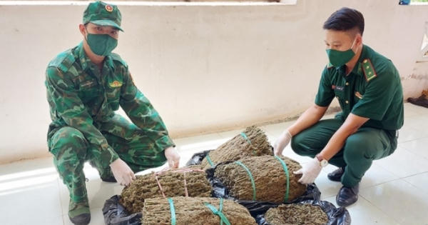 Mật phục, bắt giữ vận chuyển gần 19kg cần sa từ Campuchia về Việt Nam Mật phục, bắt giữ vận chuyển gần 19kg cần sa từ Campuchia về Việt Nam