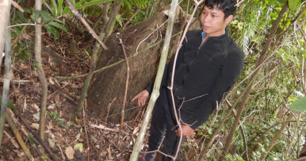 Quảng Bình: Bắt hai đối tượng ngang nhiên làm thịt Sơn dương trong rừng "cấm"