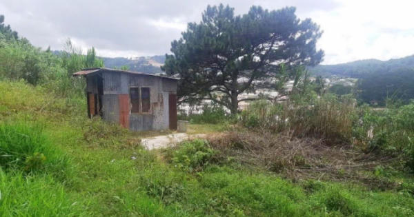 Địa ốc 6AM: UBND TP Đà Lạt bị tố vi phạm quy trình cấp sổ đỏ