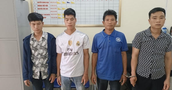 Hà Giang: Tạm giam 4 đối tượng khai thác gỗ trái phép