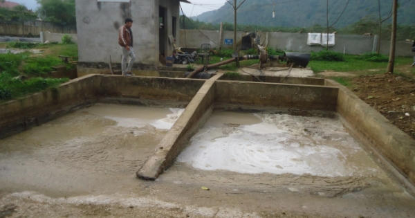 Xử phạt 50 triệu đồng nhà máy chế biến tinh bột sắn làm ô nhiễm môi trường