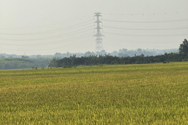 Phó chủ tịch UBND tỉnh Đồng Nai làm Chủ tịch Hội đồng xét, công nhận nông thôn mới