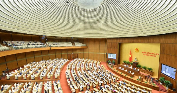 Cá nhân, tổ chức không được ngăn chặn, cản trở việc phổ biến sử dụng Quốc kỳ, Quốc huy, Quốc ca