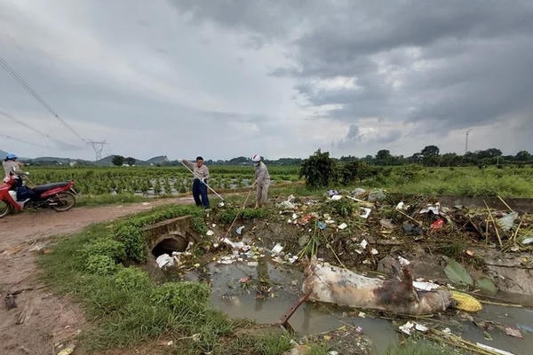 Xác lợn xuất hiện trên nhiều kênh, mương ở Thanh Hóa
