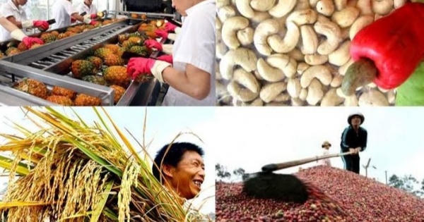 Thách thức lớn với nông sản Việt Thách thức lớn với nông sản Việt