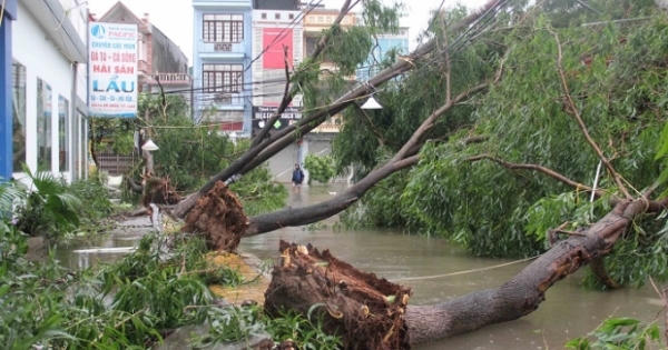 Thái Bình ảnh hưởng nặng nề sau cơn bão số 1: Ít nhất 2 người bị thương nặng