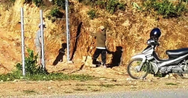 Hàng rào bảo vệ trên cao tốc 11.000 tỷ bị xé nát bươm