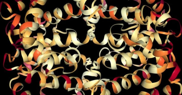 3 công trình nghiên cứu ấn tượng của học giả Việt năm 2017