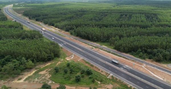 Mỏi mòn đòi chủ đầu tư cao tốc Dầu Giây - Phan Thiết trả lại rừng