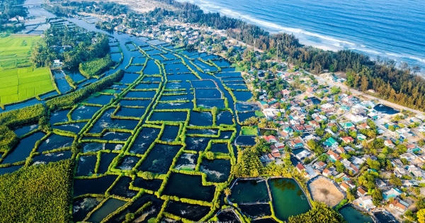 Quảng Ngãi cần ưu tiên ngành chế biến, chế tạo, công nghiệp công nghệ cao